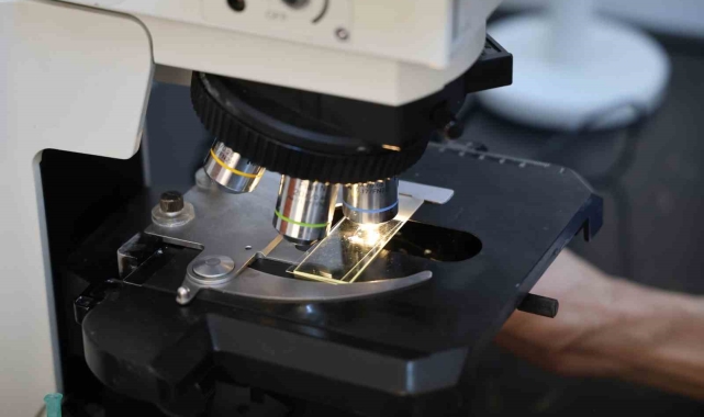 Temas ile bulaşıyor, sayısı her geçen gün artıyor