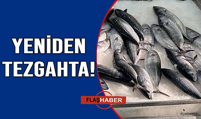 Tezgahlara geri döndü