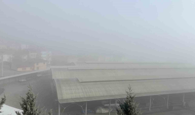 Tosya'da sis ulaşımı olumsuz etkiledi