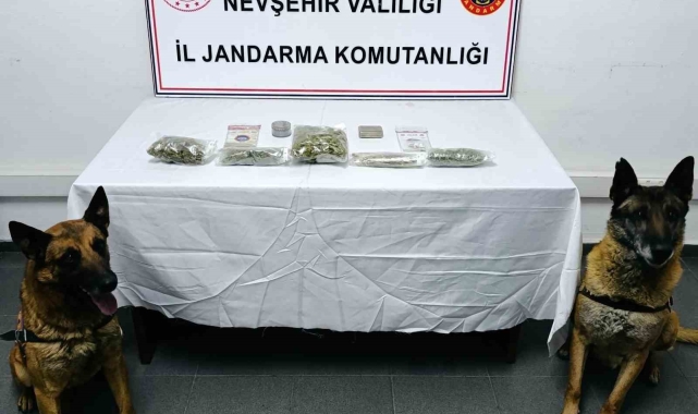 Uyuşturucuyu narkotik köpeği buldu