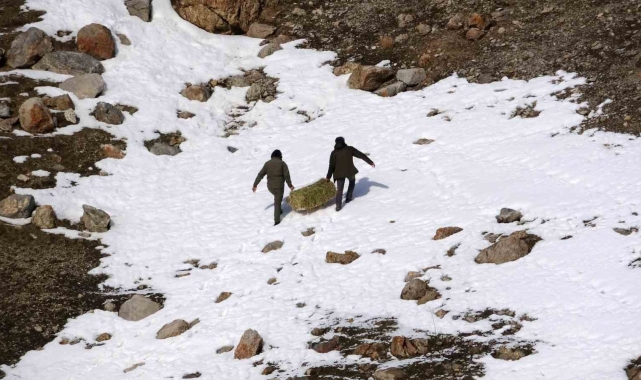 Uzmanlar uyardı: "Yaban hayvanlarına bilinçsiz yem bırakmayın"