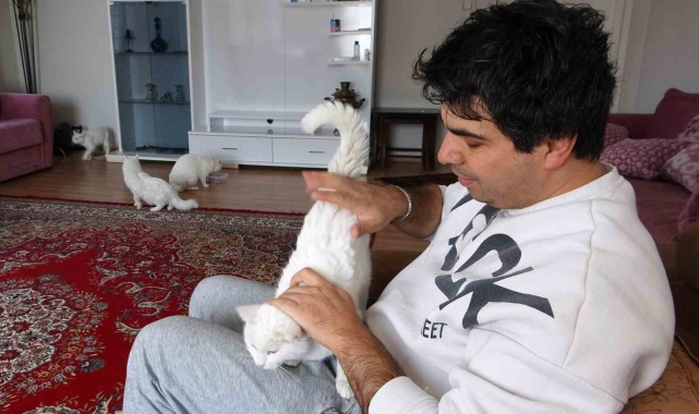 Van kedilerinin neslini kurtarmak için evinin kapılarını açtı