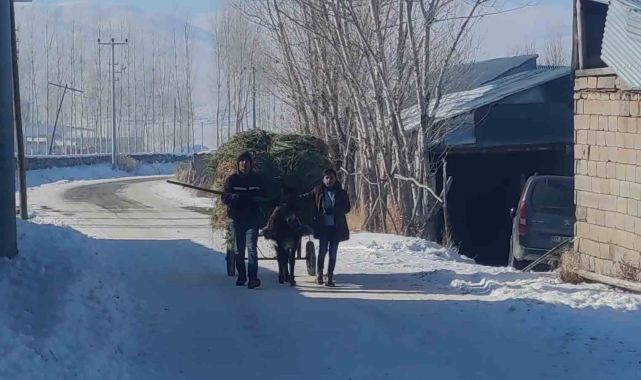 Van'da besicilerin kış mesaisi sürüyor