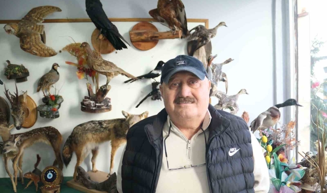 Yaban hayatını Tahnit Sanatı'yla yaşatıyor