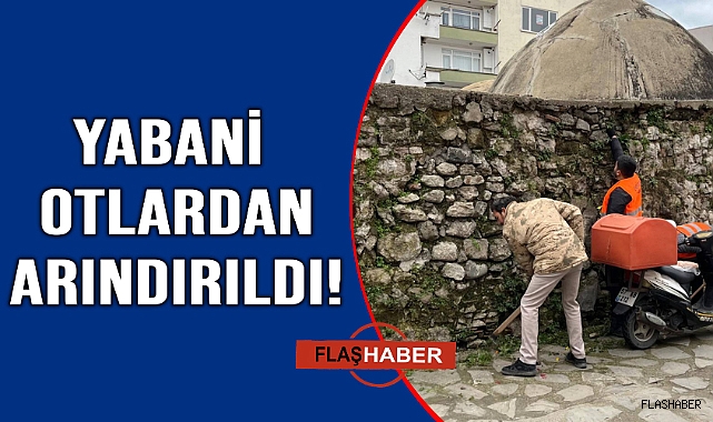 Yabani otlardan arındırıldı