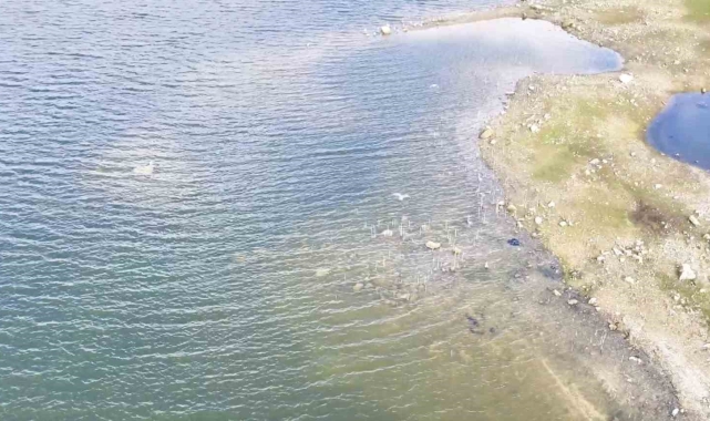 Yağışlı hava barajlara yaradı, doluluk oranı yüzde 50,49 oldu