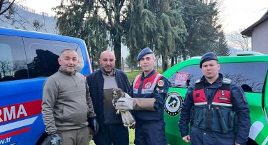 Yaralı Şahin'e HAYDİ şefkati