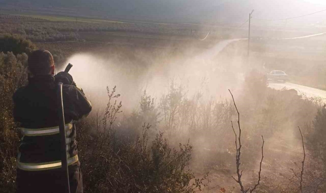 Yayladağı'nda zeytinlik yangını