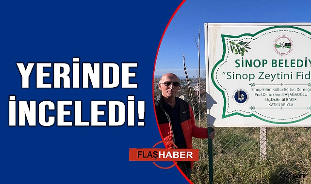 Zeytin fidanlığını inceledi