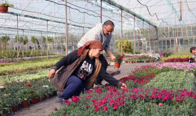 10 yılda 26 milyon süs bitkisi üretildi