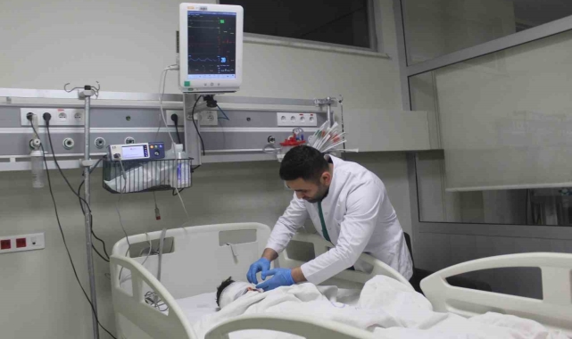 Adıyaman'da 4,5 yaşındaki çocuk 5 sokak köpeğinin saldırısında ağır yaralandı