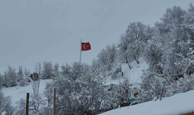 Adıyaman'da kar yağışıyla kartpostallık görüntüler ortaya çıktı