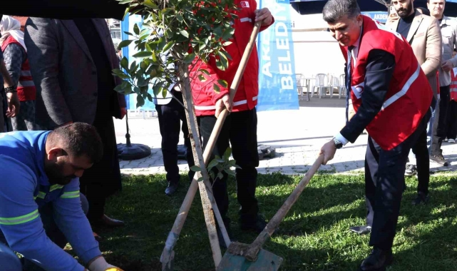 Akdeniz Belediyesi, depremde hayatını kaybedenler anısına fidan dikti