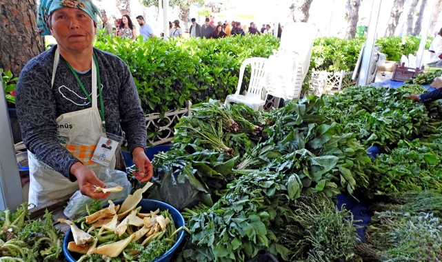 Alaçatı Ot Festivali stant başvuruları başladı