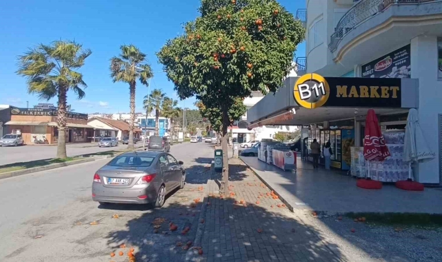 Antalya'da şiddetli fırtına turunçları dallarından koparıp yola savurdu