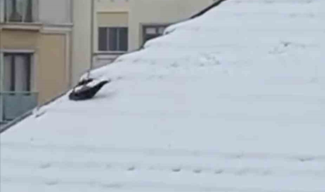 Ataşehir&#039;de karganın kar keyfi kamerada