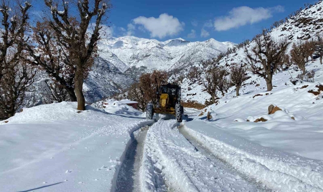 Batman'da kar nedeniyle kapanan 130 yol ulaşıma açıldı