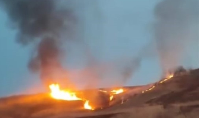 Batman'da sazlık alanda yangın