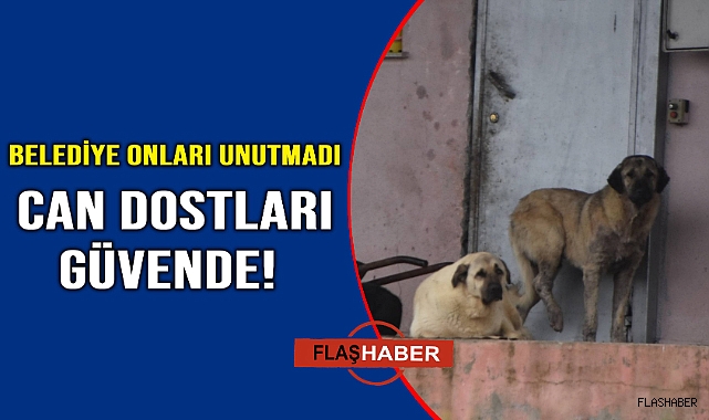 Belediye can dostları unutmadı