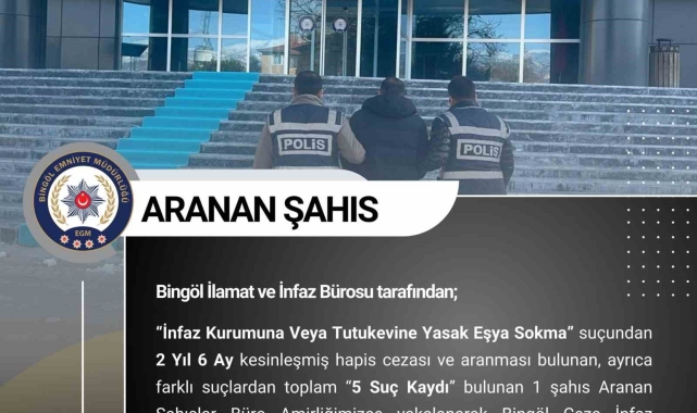 Bingöl'de kesinleşmiş hapis cezası bulunan 2 şüpheli tutuklandı