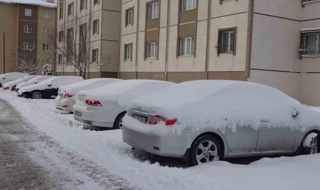 Bitlis'te kapanan 219 köy yolundan 170'i ulaşıma açıldı