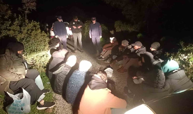 Bodrum'da 17 düzensiz göçmen yakalandı