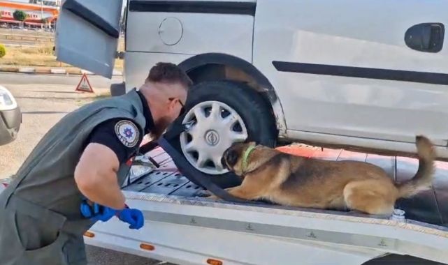 Bolu'da 7 uyuşturucu operasyonu: 11 gözaltı