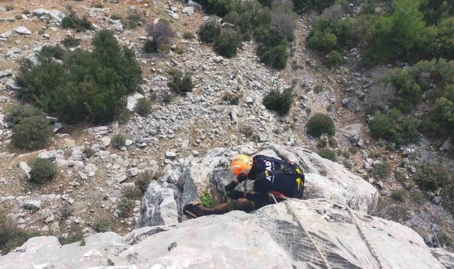 Burdur'da dağlık alanda mahsur kalan keçileri AFAD ekipleri kurtardı