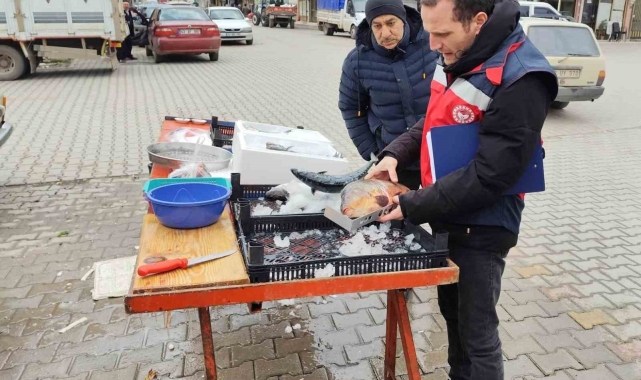 Çavdarhisar'da balık satış yeri denetimleri