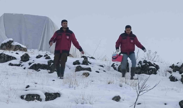 Çemişgezek'te veteriner hekimlerin şapla mücadelesi sürüyor