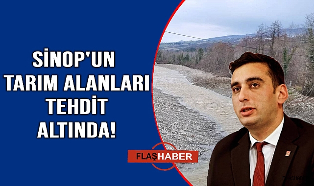 CHP'li Yalçınkaya, Karapınar Köyü’ndeki sorunları gündeme taşıdı