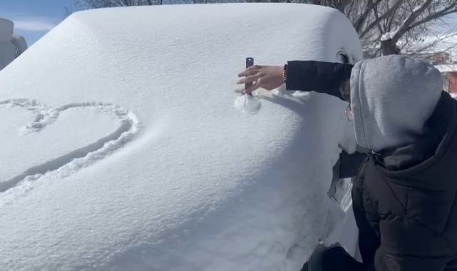 Çıldır'da kar yağışı etkili oldu