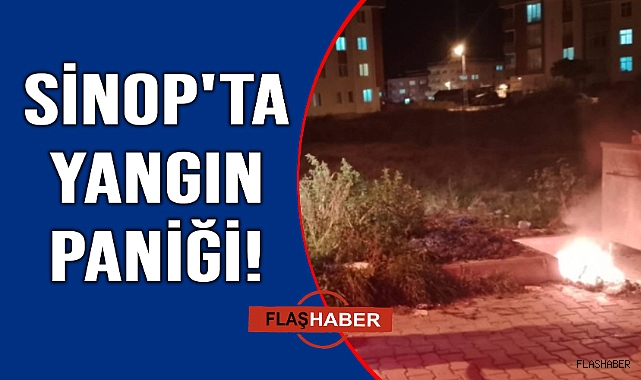 Çöp konteyneri yanında çıkan yangın panik yarattı