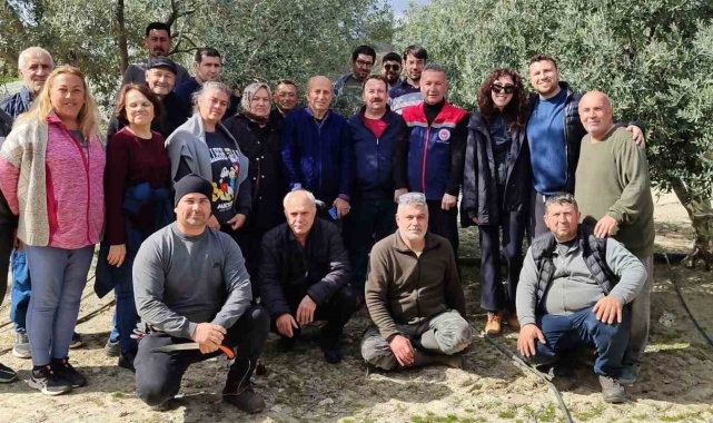 Didim'de zeytin budama kursu kursiyerlerine uygulamalı eğitim