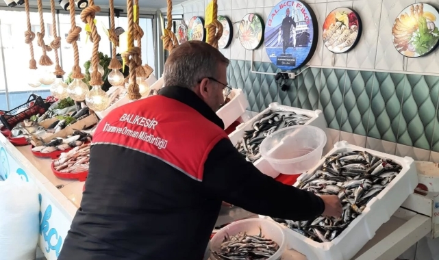 Edremit'te balık denetimi