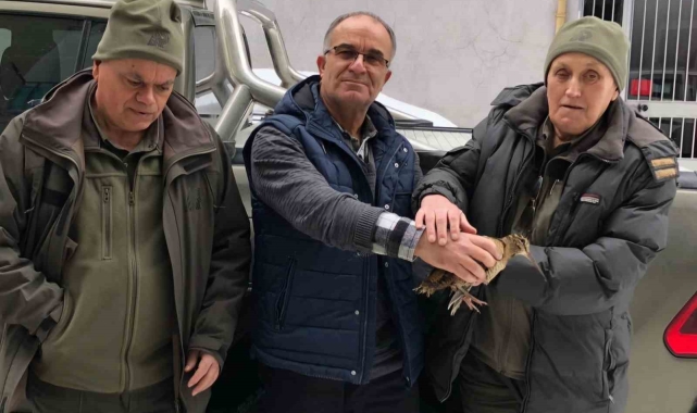 Emekli sağlıkçı karda aç kalan çulluğa sahip çıktı