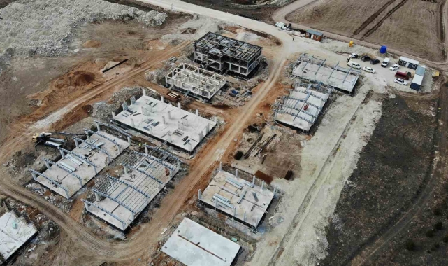 Eskişehir'de 70 dönümlük alana hayvan bakımevi inşa ediliyor