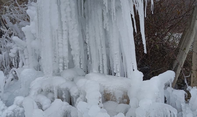 Gediz'de ağaçlarda buz sarkıtları oluştu