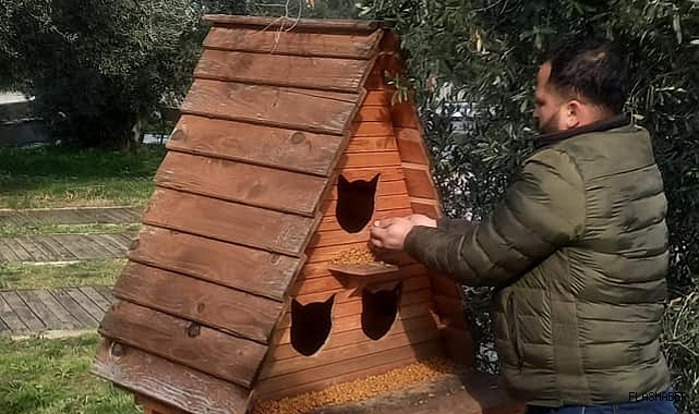 Gerze Belediyesi, sokak hayvanlarını ihmal etmiyor