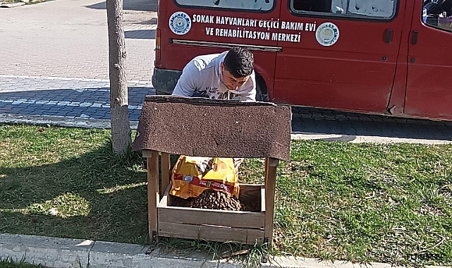 Gerze Belediyesi, sokak hayvanlarının bakımını ihmal etmiyor