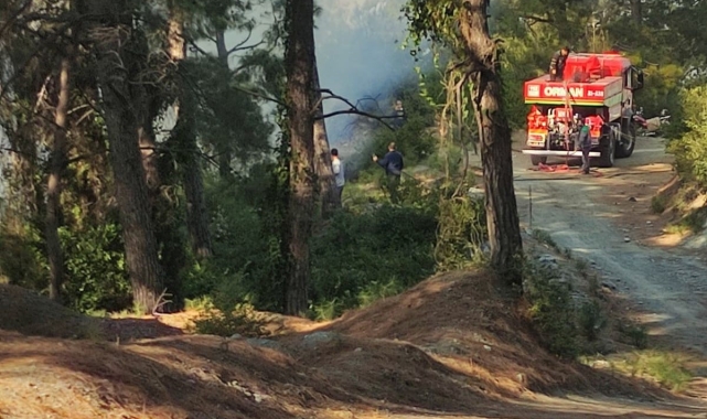 Hatay'da ormanlık alanda örtü yangını çıktı
