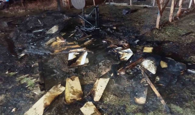 Isparta&#039;da güvercin kulübeleri yandı, 60 güvercin telef oldu