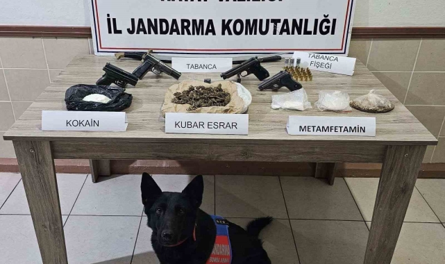Jandarma ekipleri Şubat ayında 61 şahıs hakkında yasal işlem yaptı