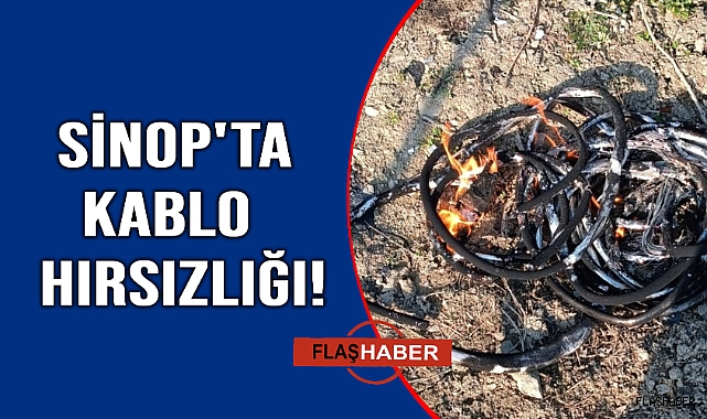 Kablo hırsızı yakayı ele verdi