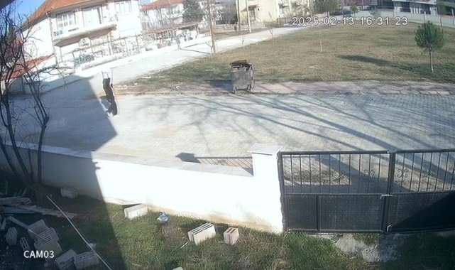 Kadının iple ayaklarını bağladığı köpeği çöpe attığı anlar güvenlik kamerasına yansıdı