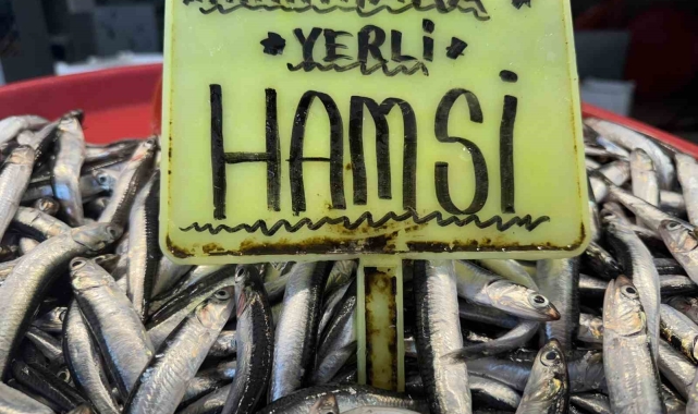Kar yağışının ardından tezgahlarda son durum: Hamsi 400 TL, sardalya 200 TL