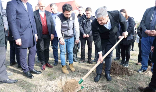 Karabük'te sumak fidanları toprakla buluşturuldu
