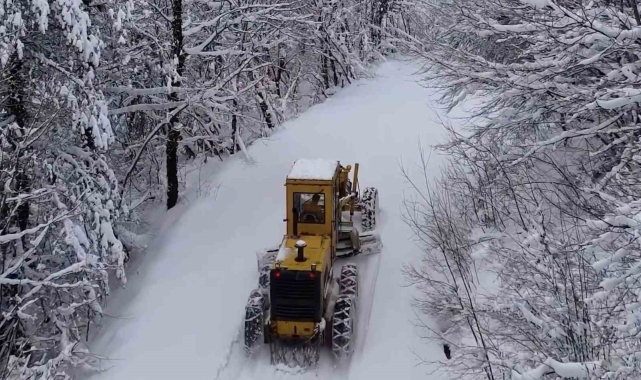 Kastamonu'da kar sebebiyle yolu kapalı köy sayısı 335'e yükseldi