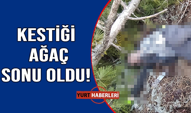 Kestiği ağacın altında kalan işçi hayatını kaybetti