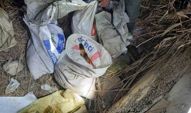 Kızılırmak'ta kaçak balık avlayan 2 şahsa suçüstü baskın